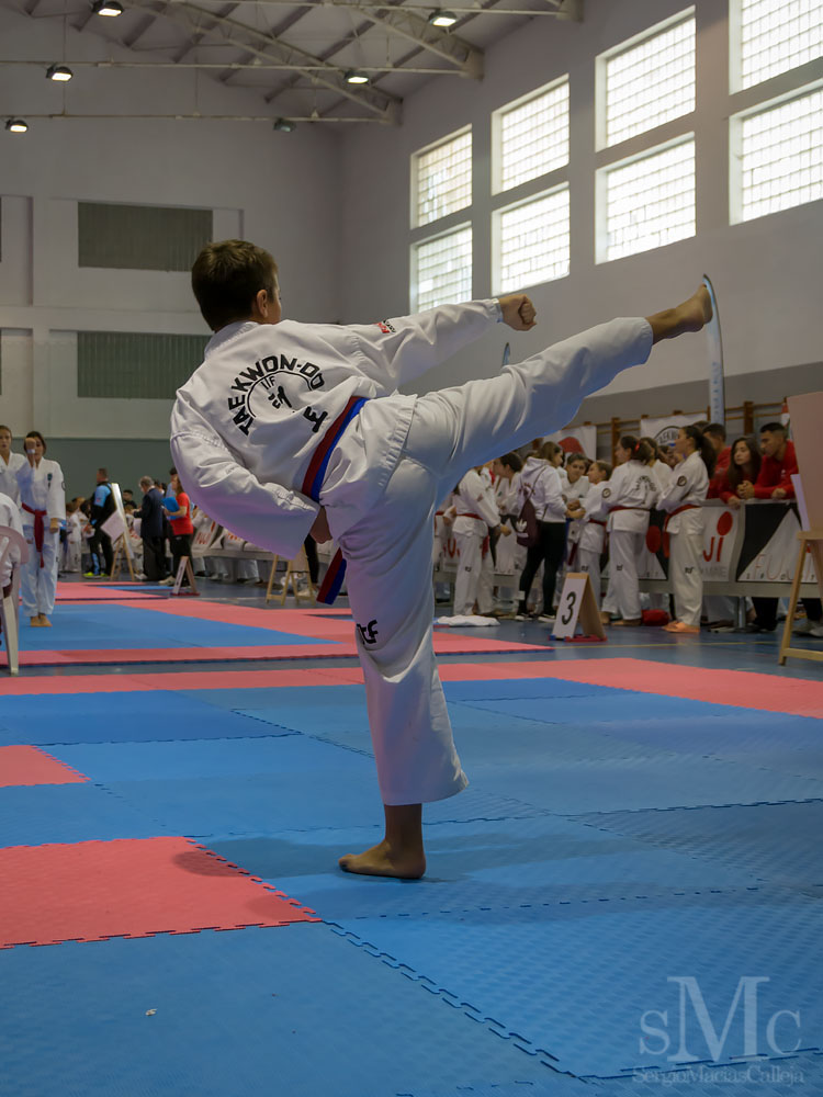 Copa Seul 2018 (115).jpg